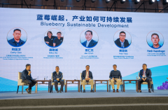 汗青委以云南沉担：东盟生果商业核心呼